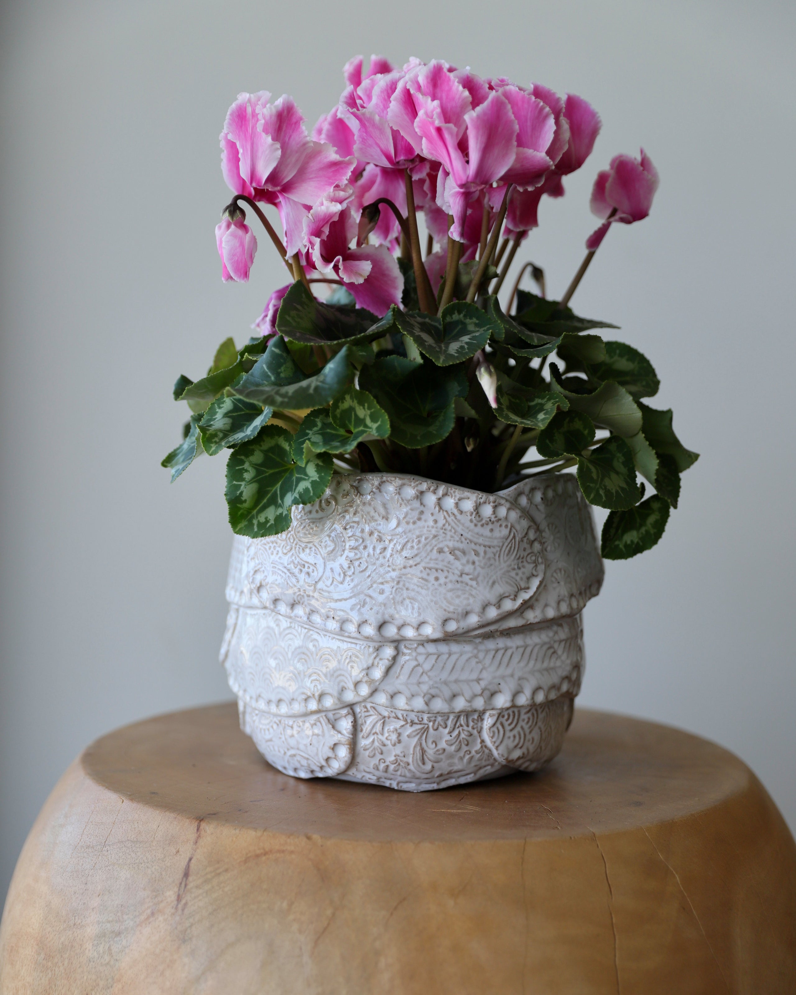 Pottery and Ceramics workshops and classes | Hunter Valley Ceramics Studio