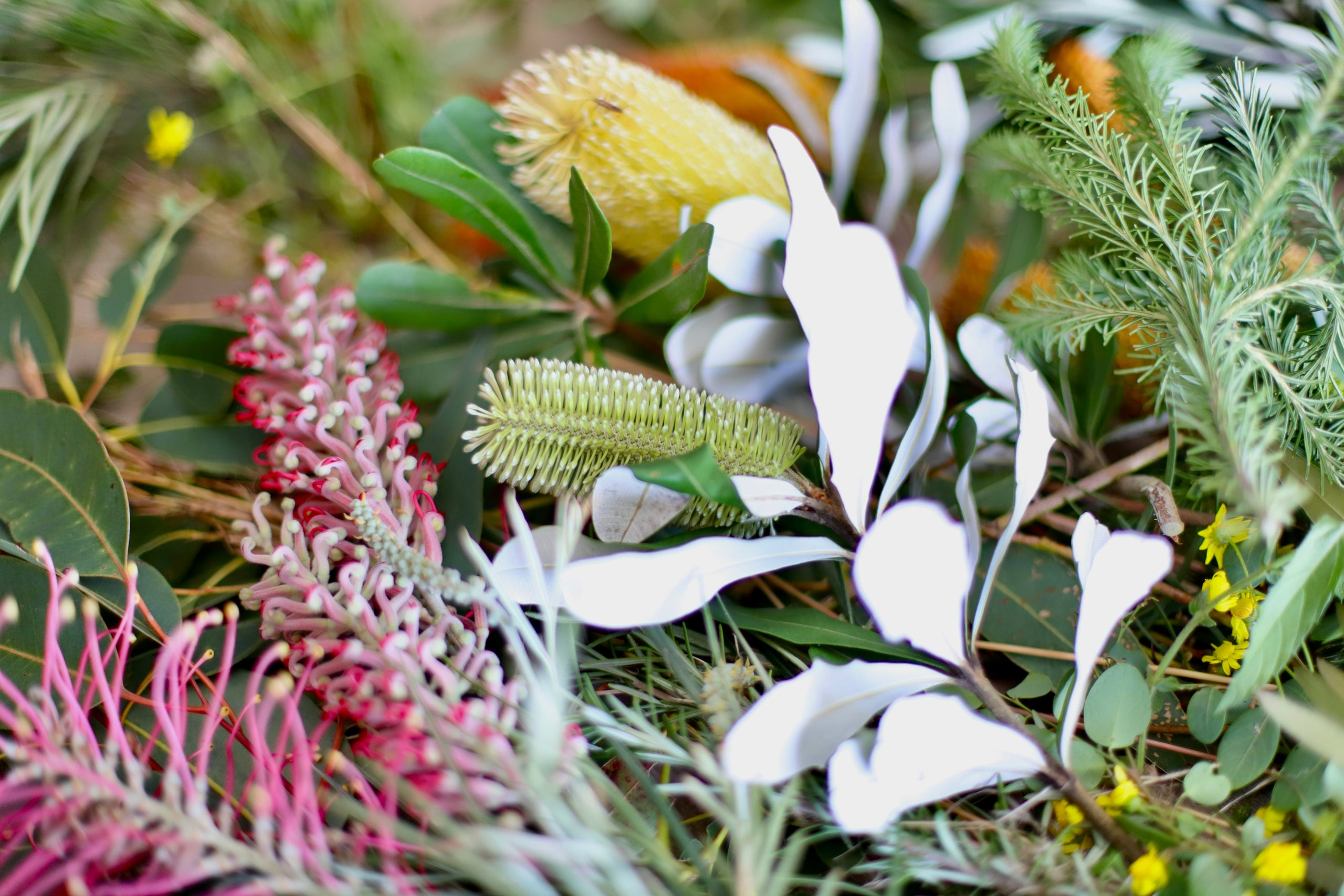 Pottery Workshop | Hunter Valley Ceramics Studio