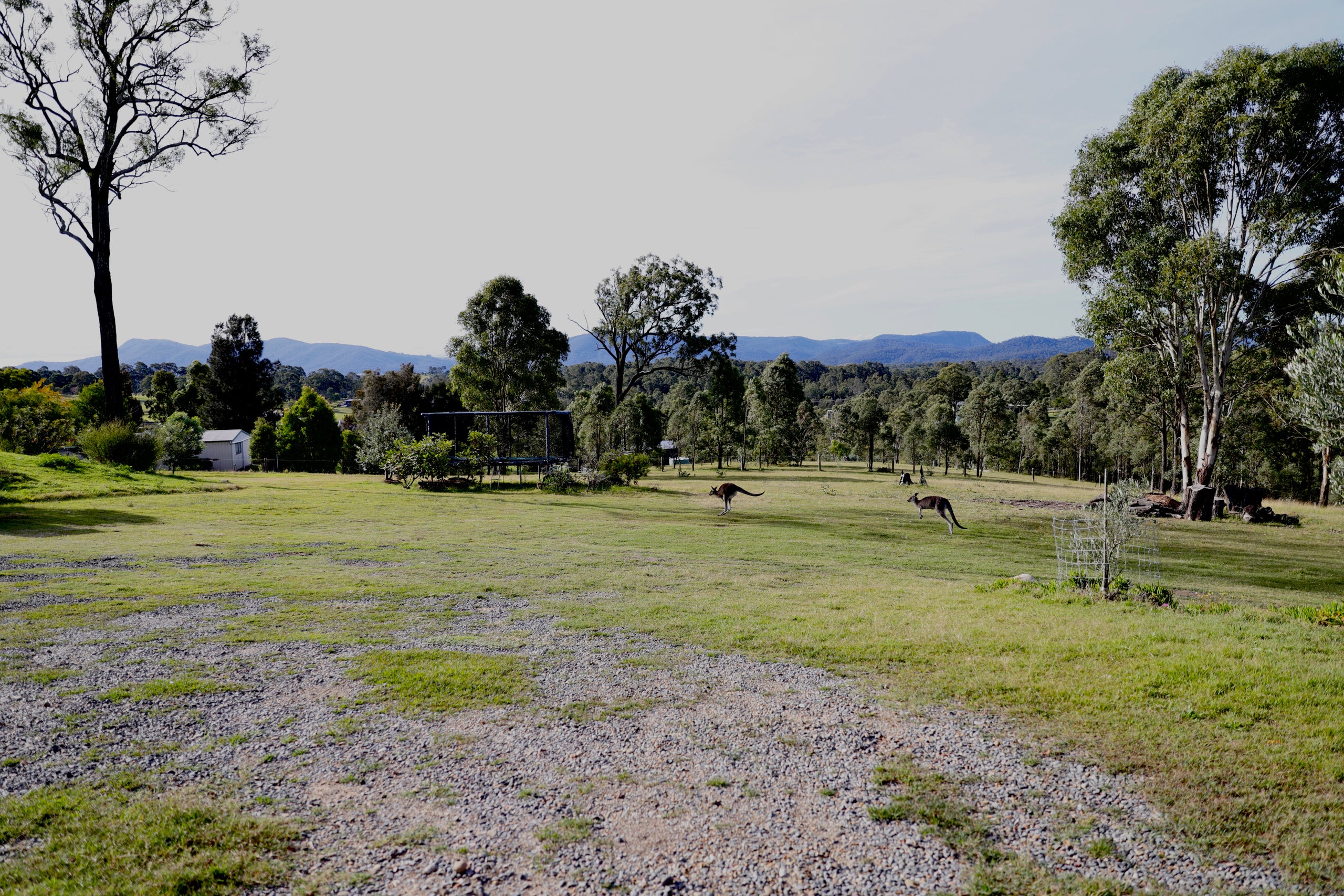 Pottery Workshop | Hunter Valley Ceramics Studio